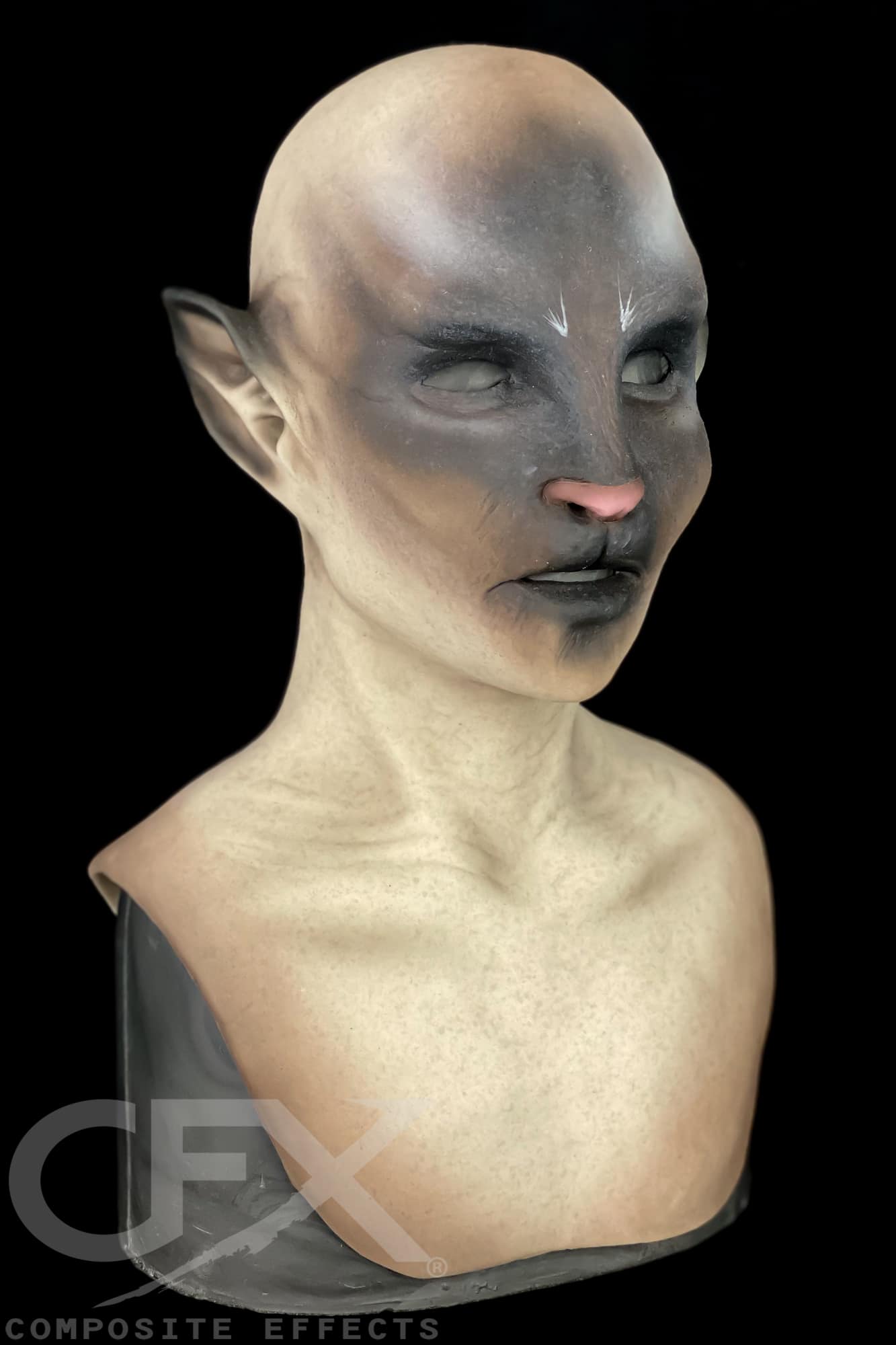Siamese-Bast-2.jpg