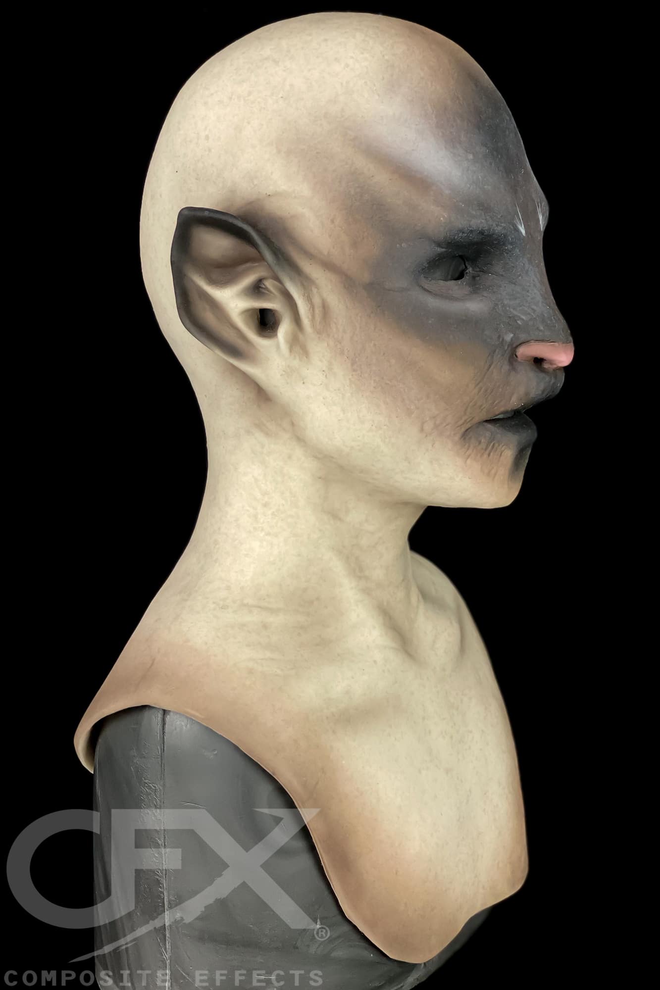Siamese-Bast-3.jpg
