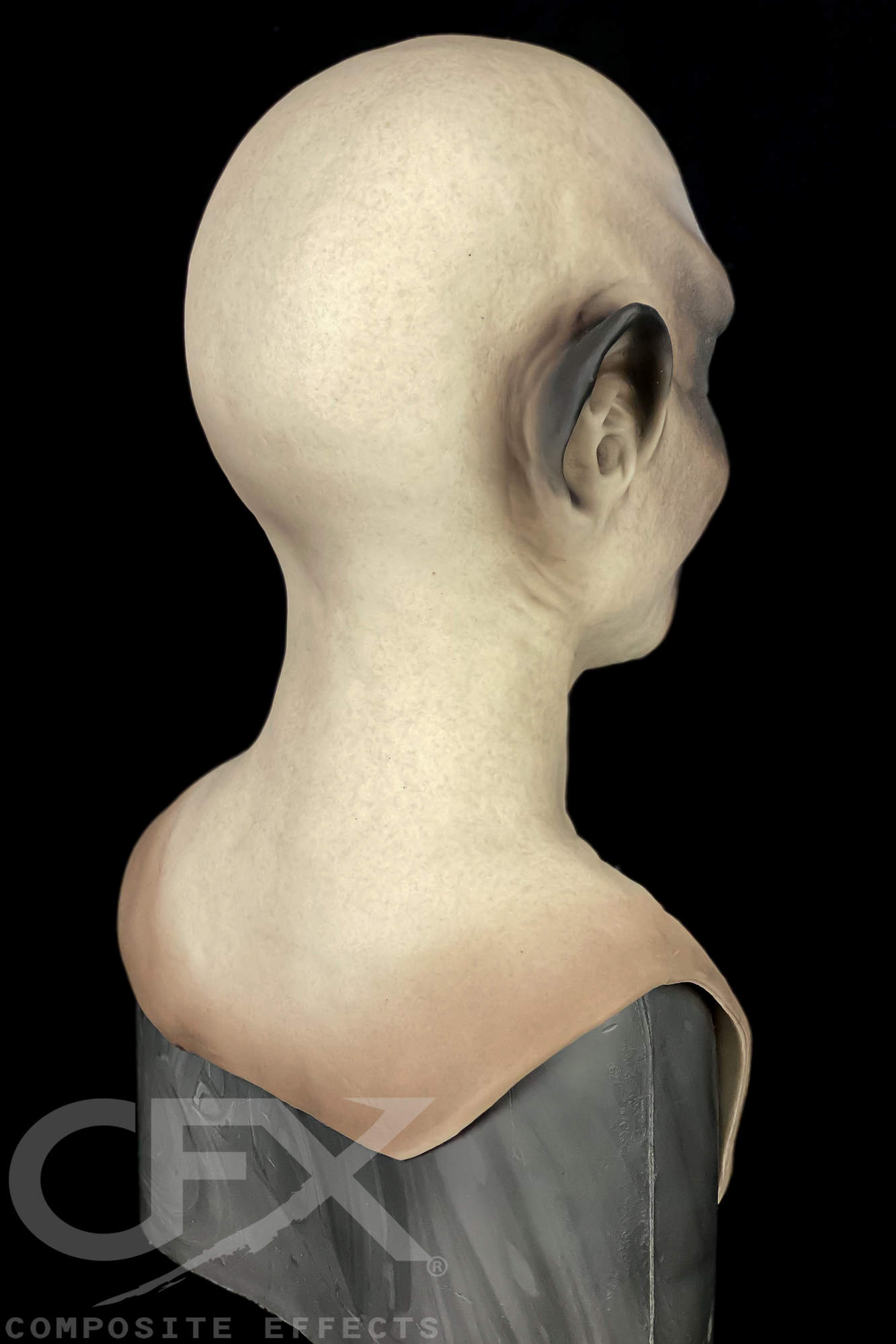 Siamese-Bast-4.jpg