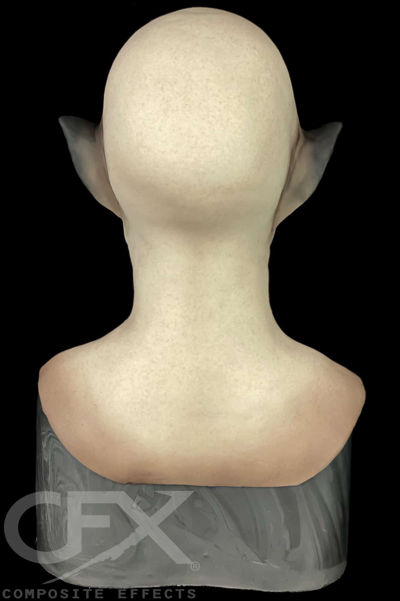 Siamese-Bast-5.jpg