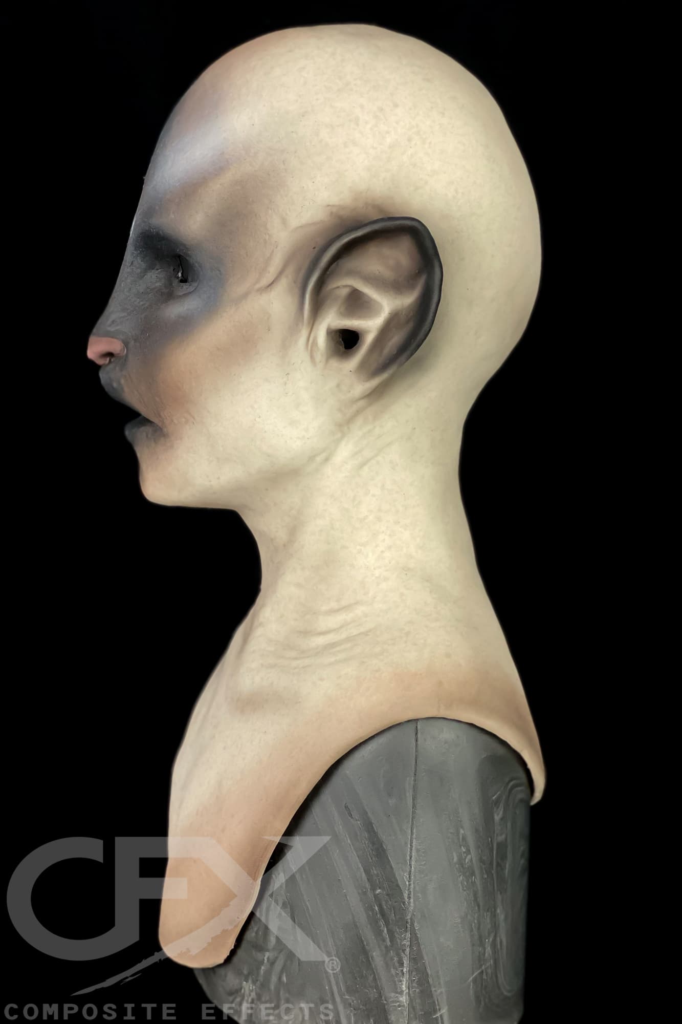 Siamese-Bast-6.jpg