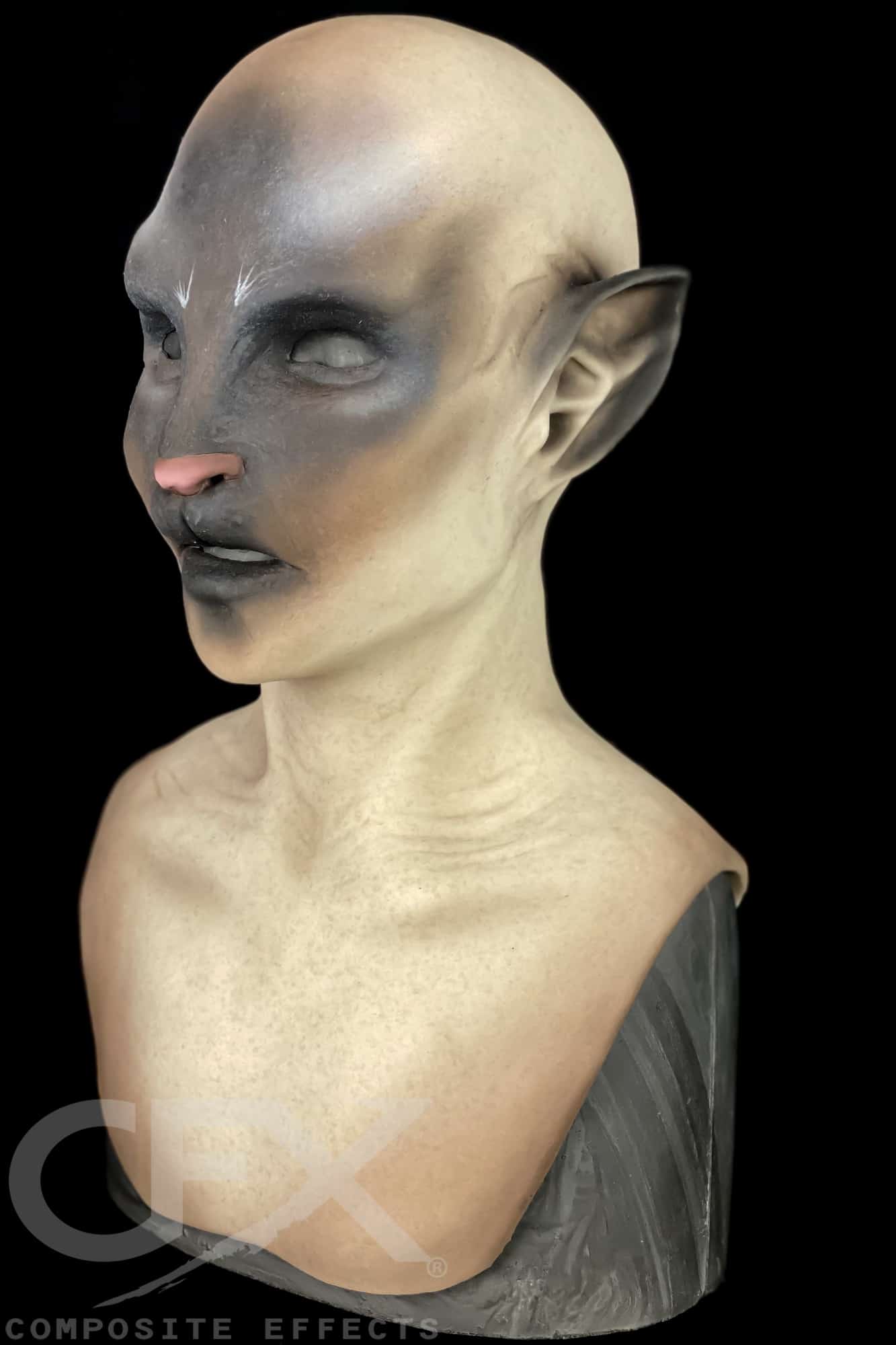 Siamese-Bast-7.jpg
