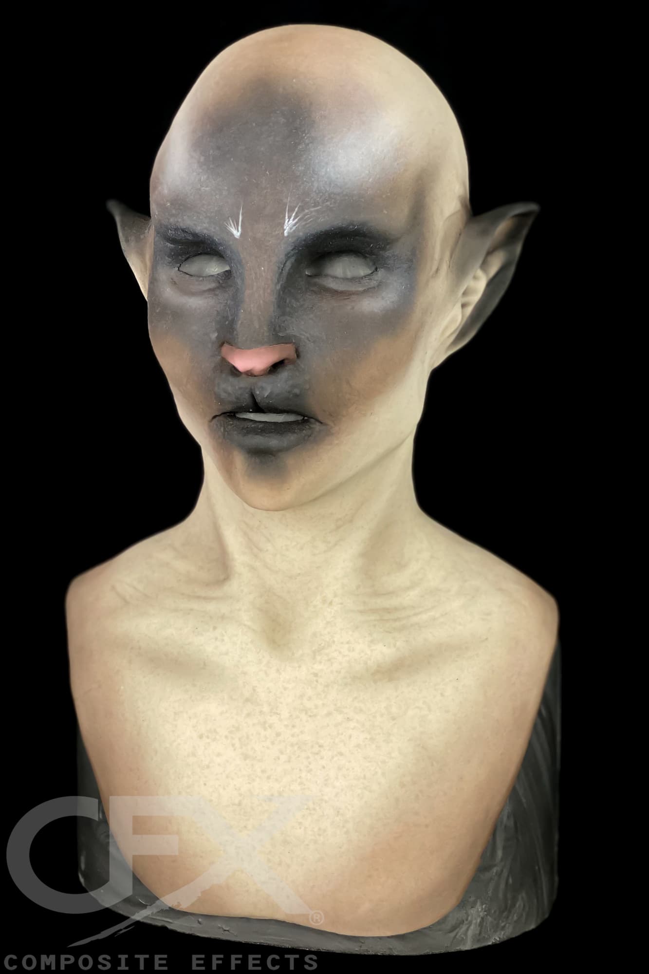 Siamese-Bast-8.jpg