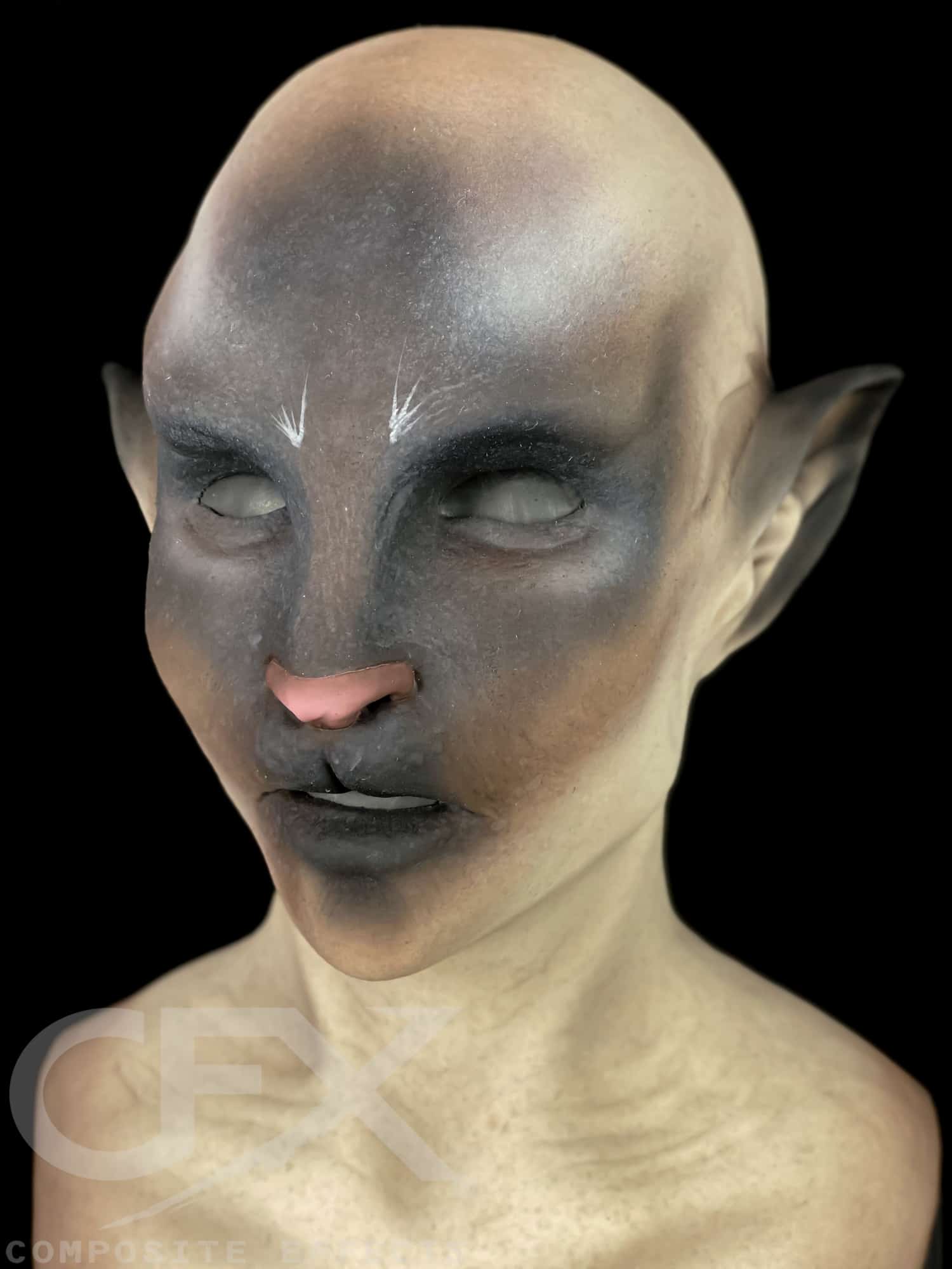 Siamese-Bast-9.jpg