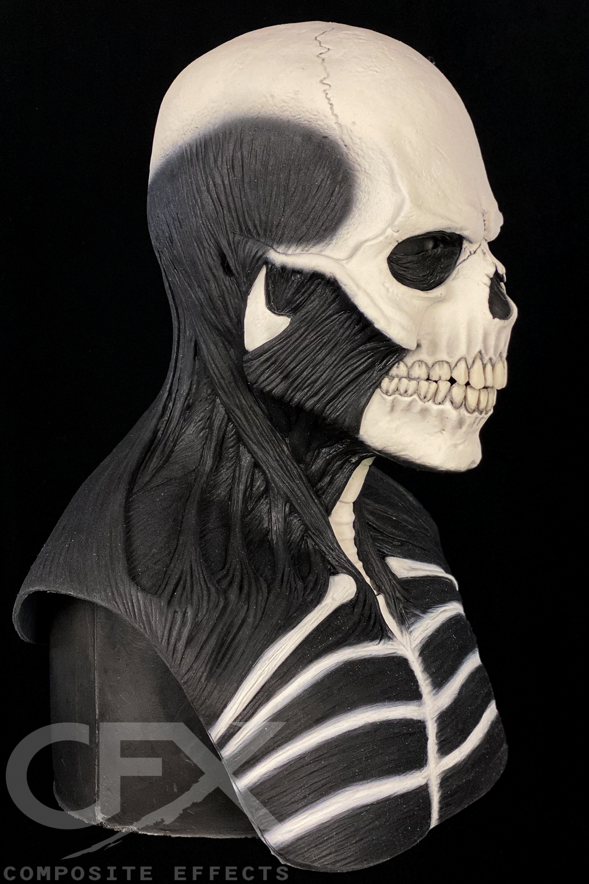 BW-Yorick-3.png