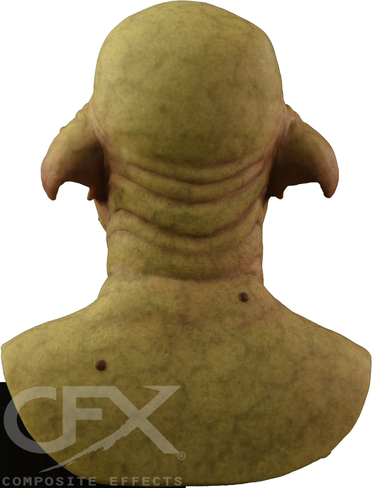 DSC_4463.png