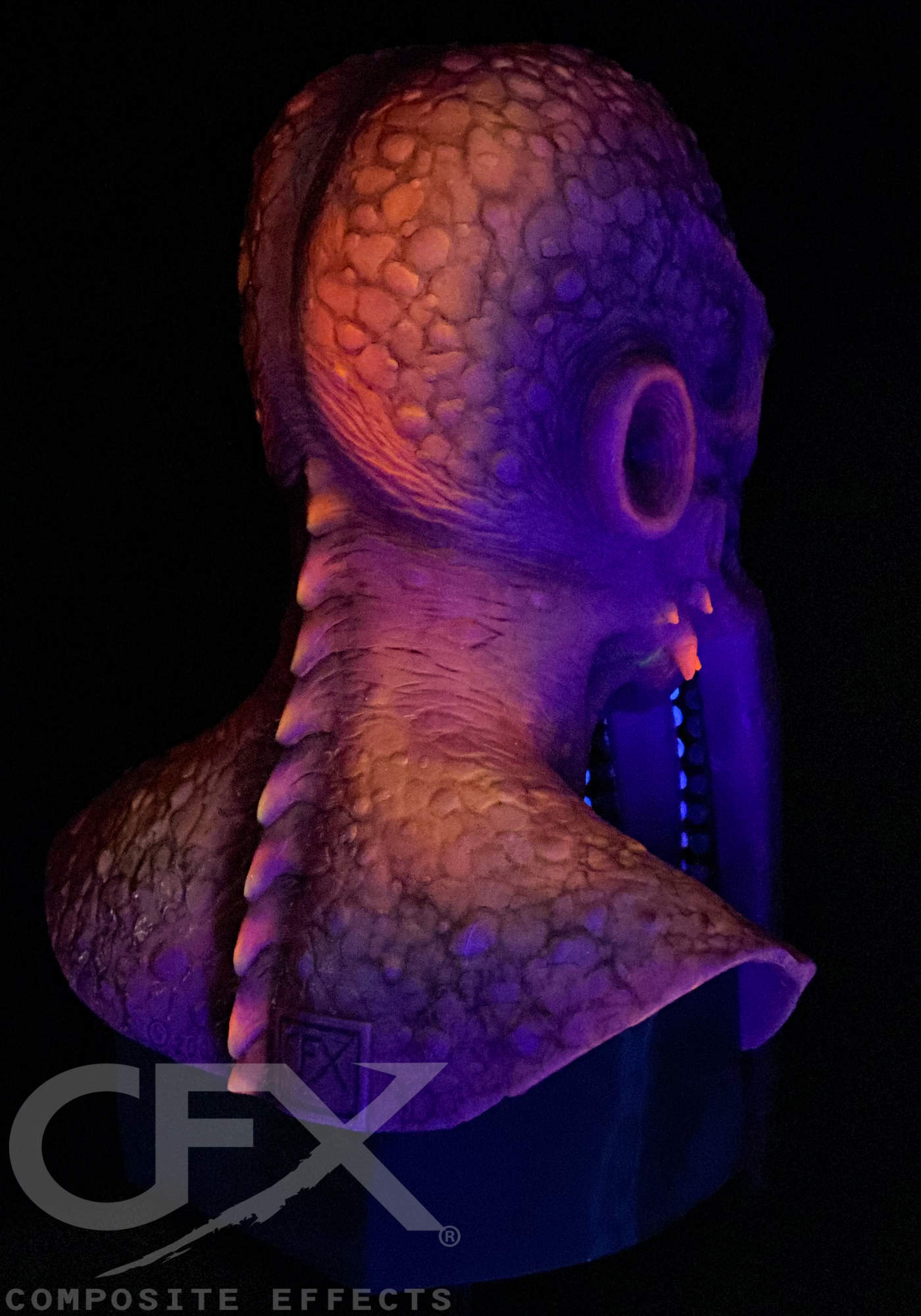 Deep-Spawn-Maldives-Octopus-UV-13.jpg