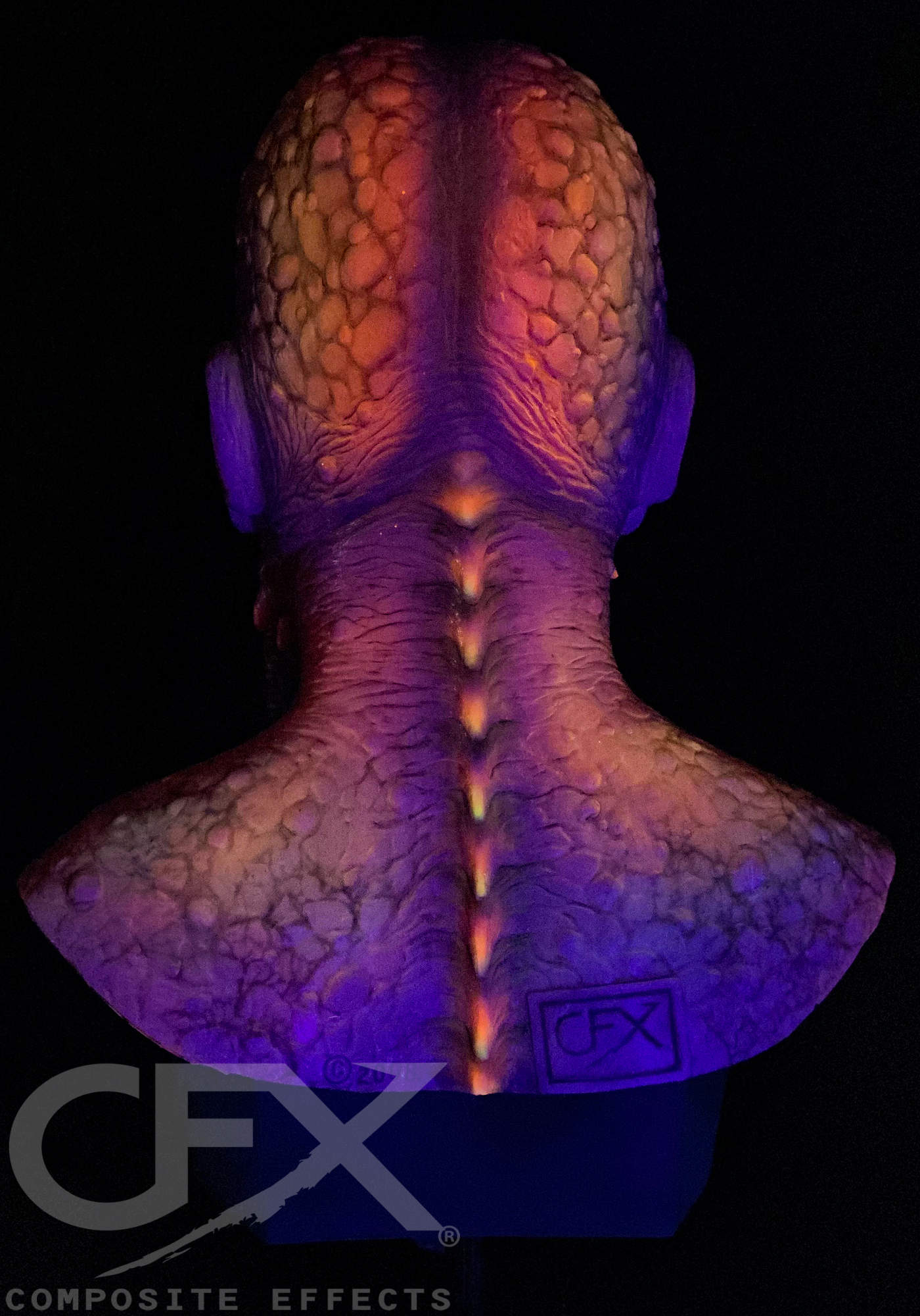 Deep-Spawn-Maldives-Octopus-UV-14.jpg