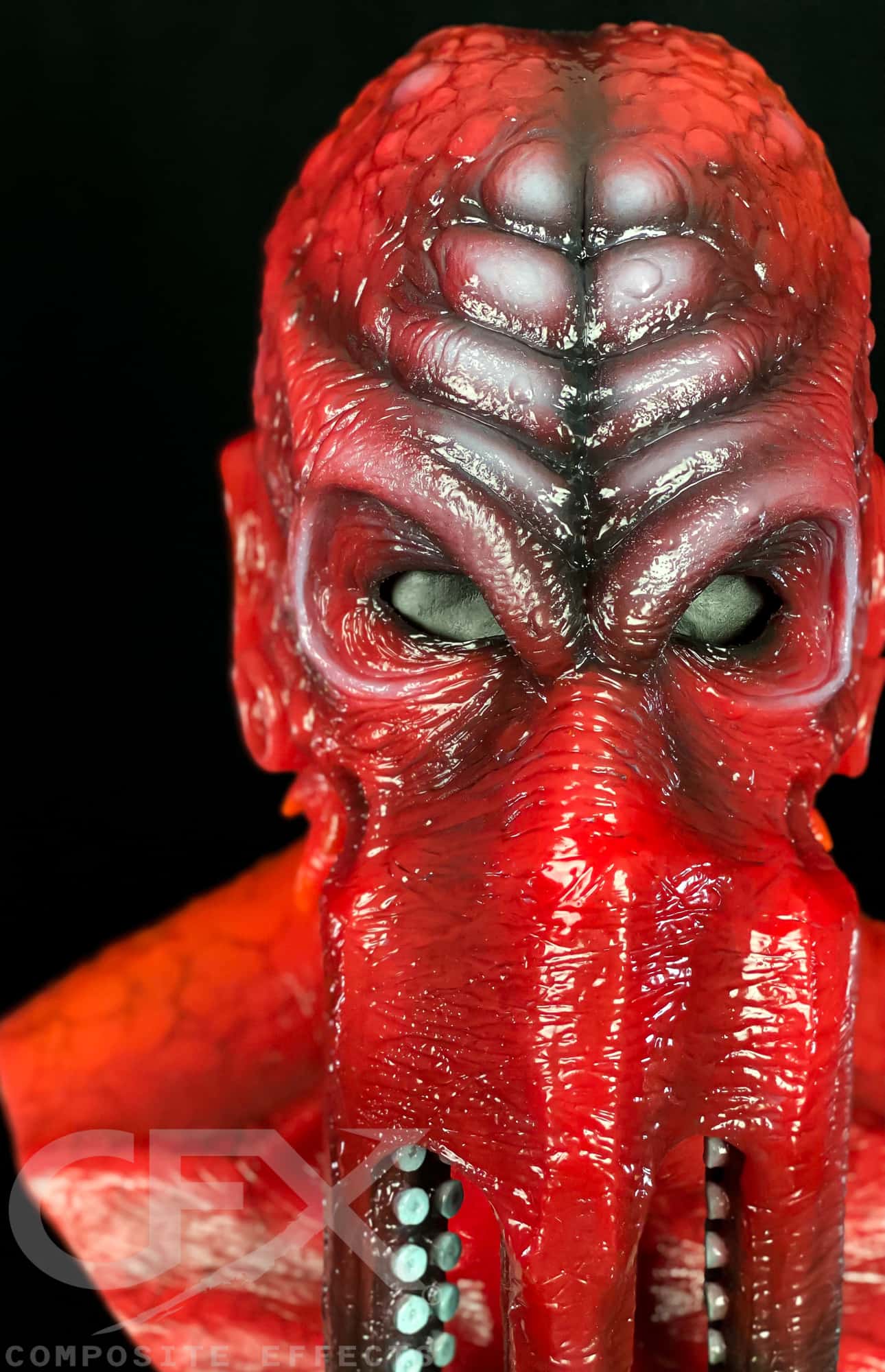 Deep-Spawn-Maldives-Octopus-UV-8.jpg