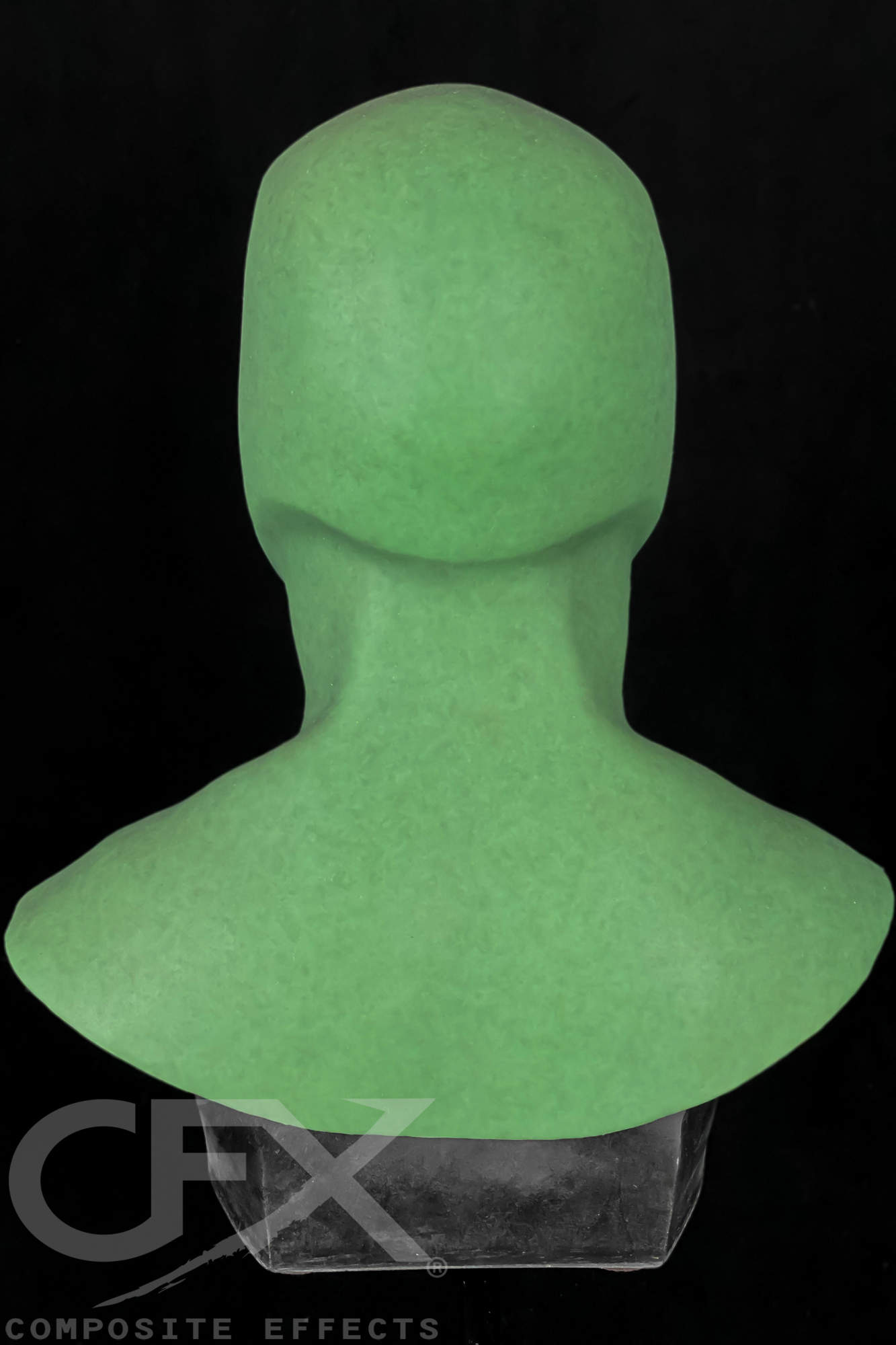 Judo-Master-Green-Hero-Hood-5.jpg