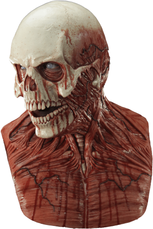https://rhinowebllc.com/cfx-masks2/wp-content/uploads/2024/06/Yorick-300x448.png