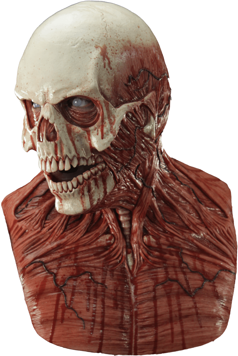 Yorick.png