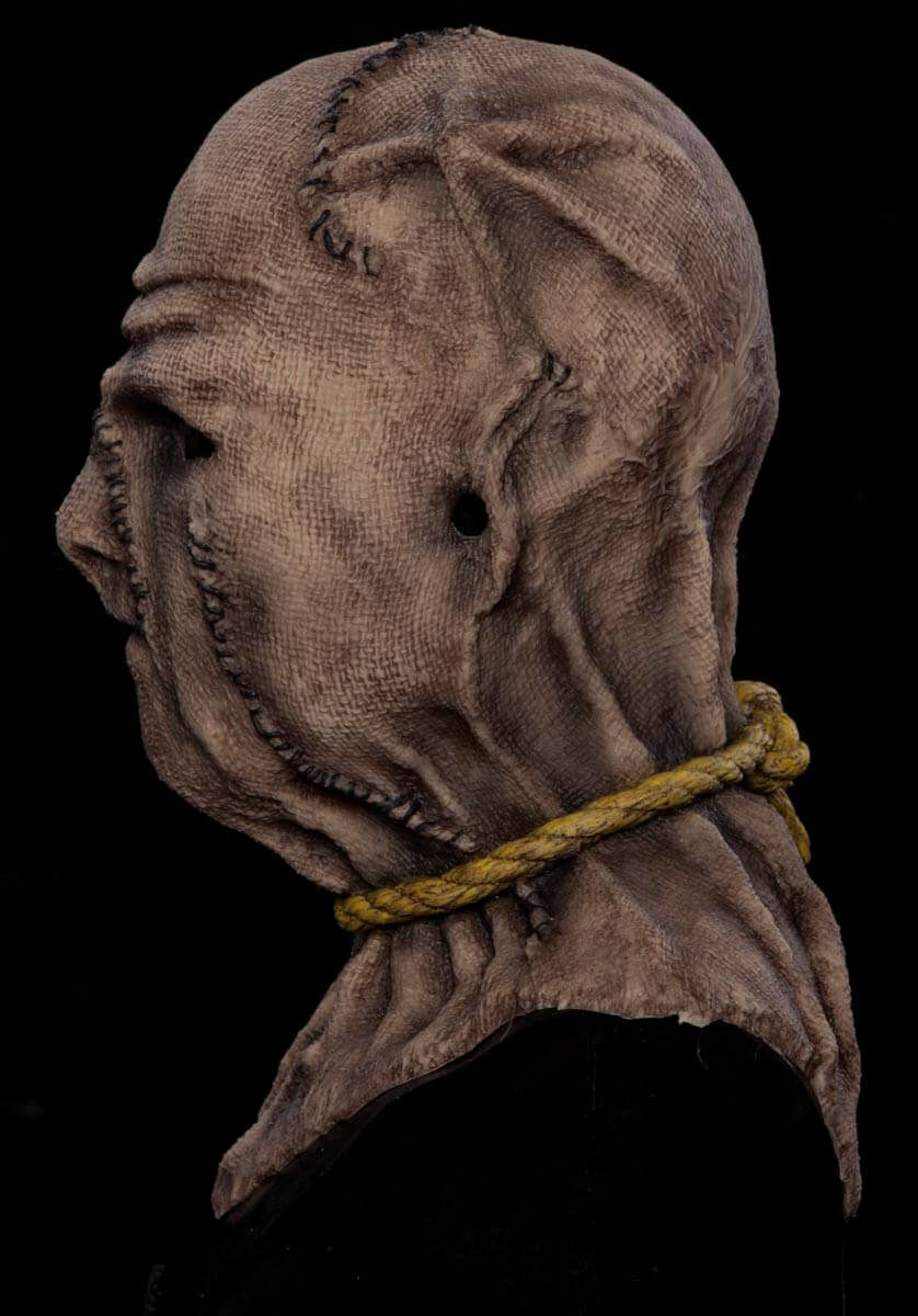 cobb_mask_07_0.jpg