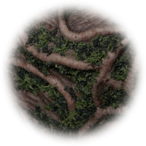 https://rhinowebllc.com/cfx-masks2/wp-content/uploads/2024/06/cover-7-300x300.png