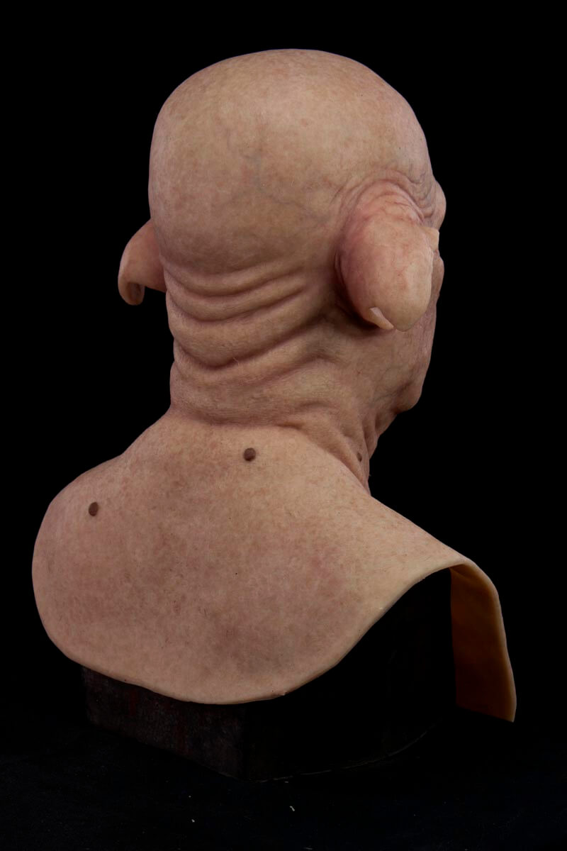 pervis_mask_04.jpg