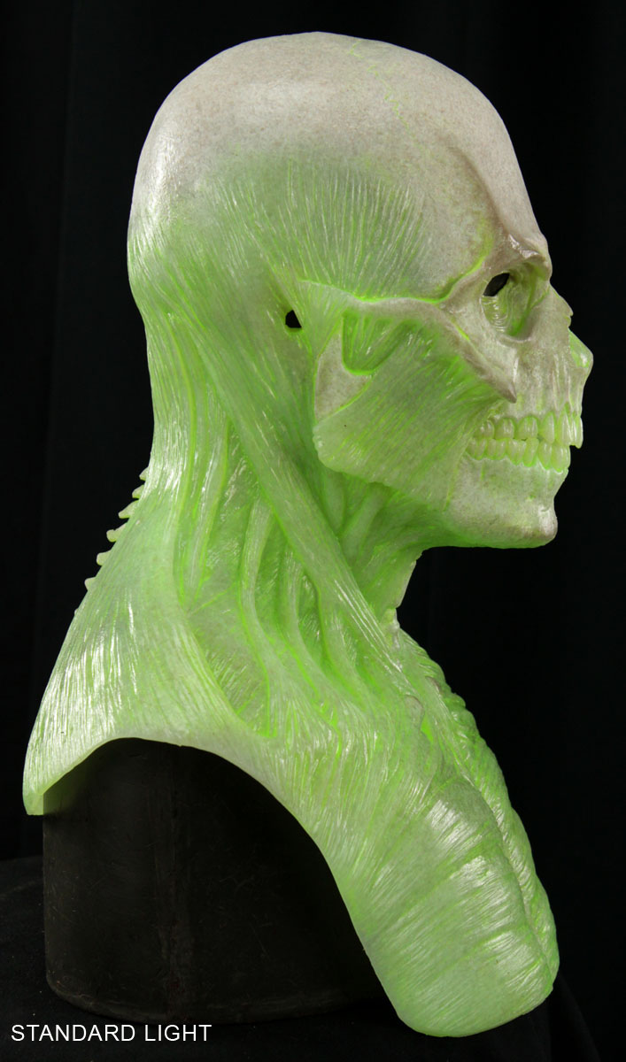 radioactive_skull_mask_03A-1.jpg