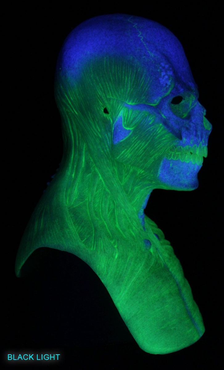 radioactive_skull_mask_03C-1.jpg