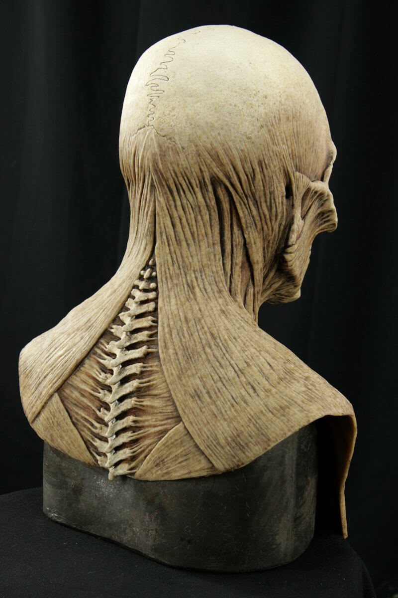 yorick_mask_dry_04.jpg