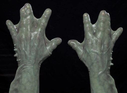 10001 https://rhinowebllc.com/cfx-masks2/wp-content/uploads/2024/07/10001-14-e1721404462140.jpg