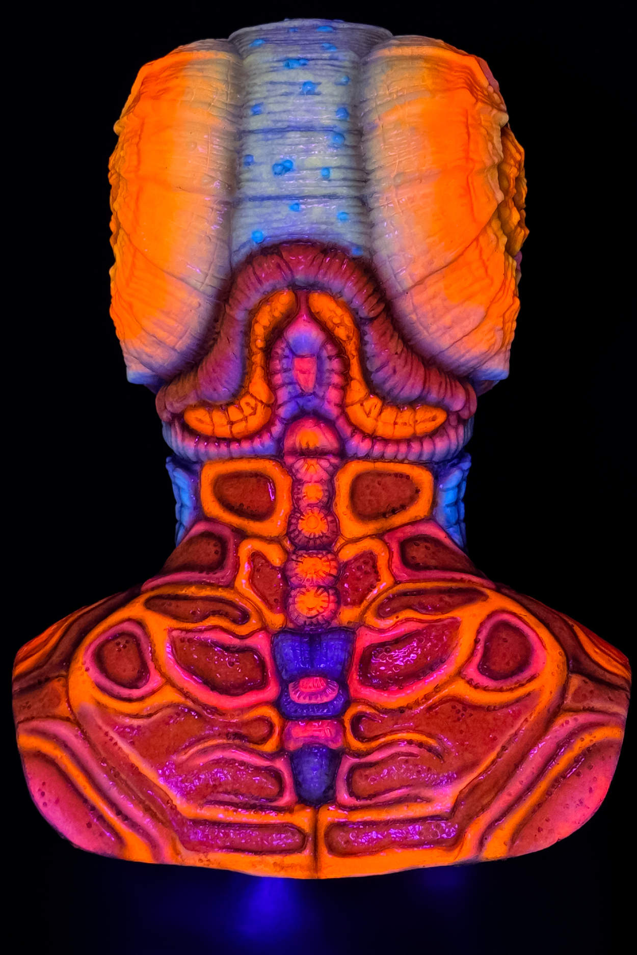Aquarius-UV-Rainbow-Crab-8.jpg