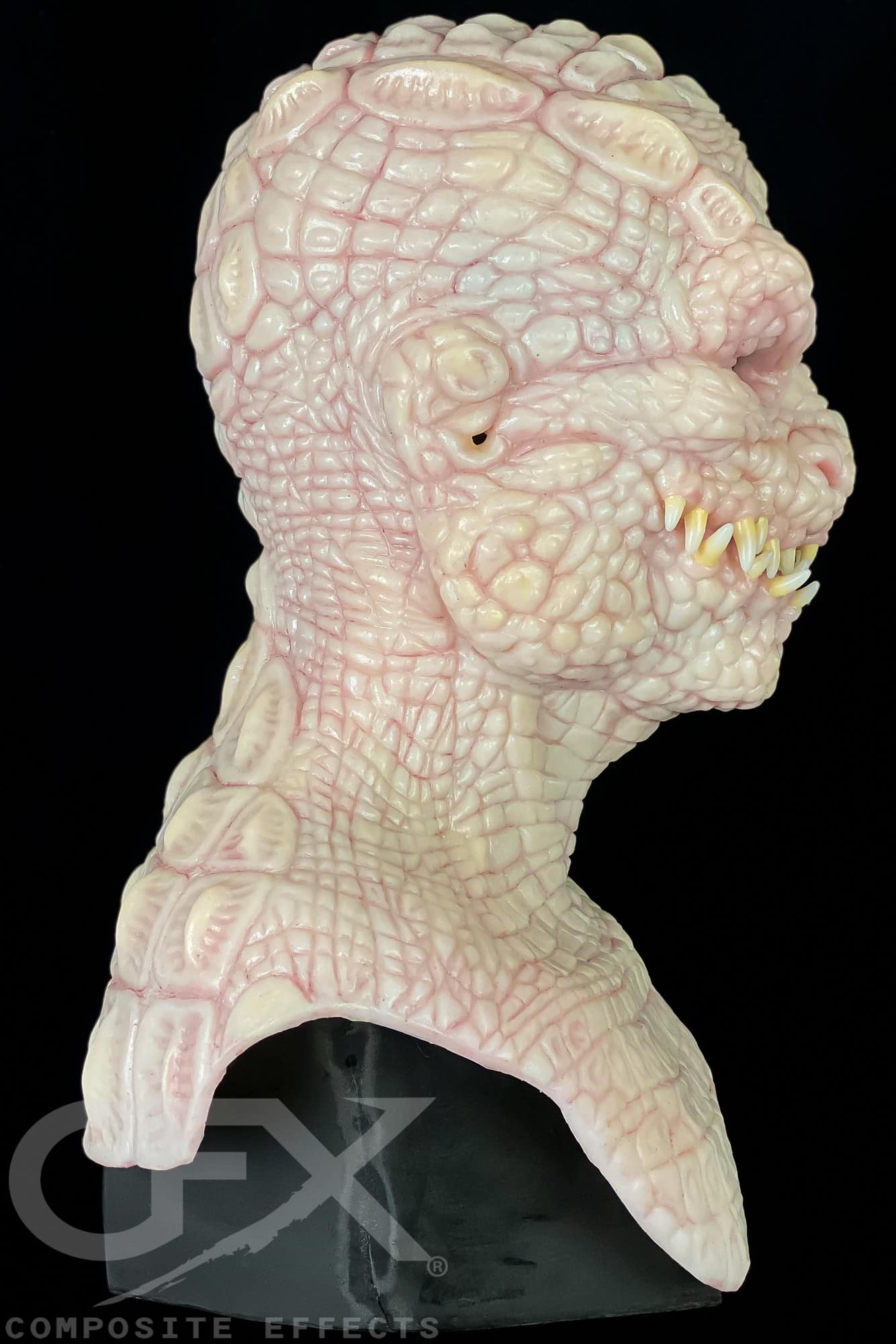 Bayou-Brutus-Albino-5.jpg
