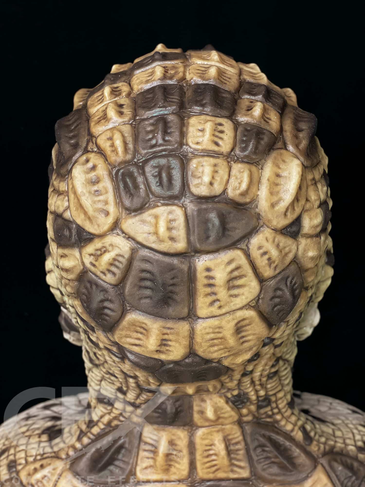 Bayou-Brututs-Croc-18.jpg