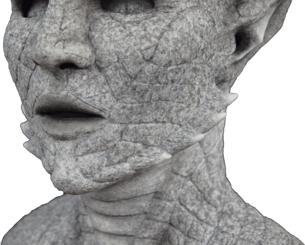 DSC_8122.png