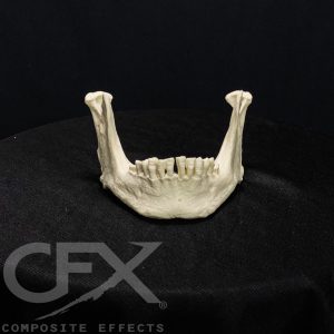 File_004-e1614968327158.jpg https://rhinowebllc.com/cfx-masks2/wp-content/uploads/2024/07/File_004-e1614968327158-300x300.jpg