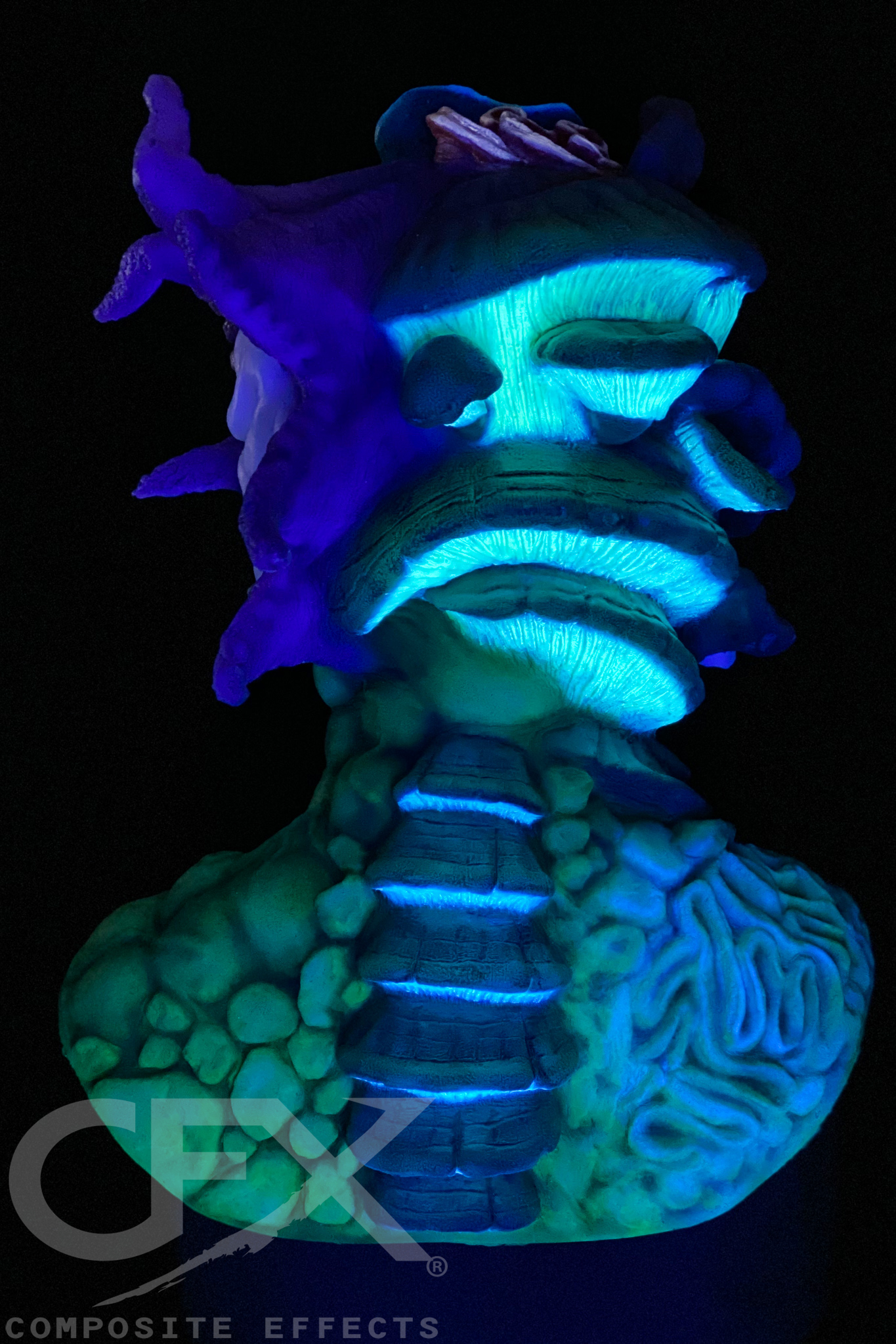 Funguy-Bioliminescent-23.jpg