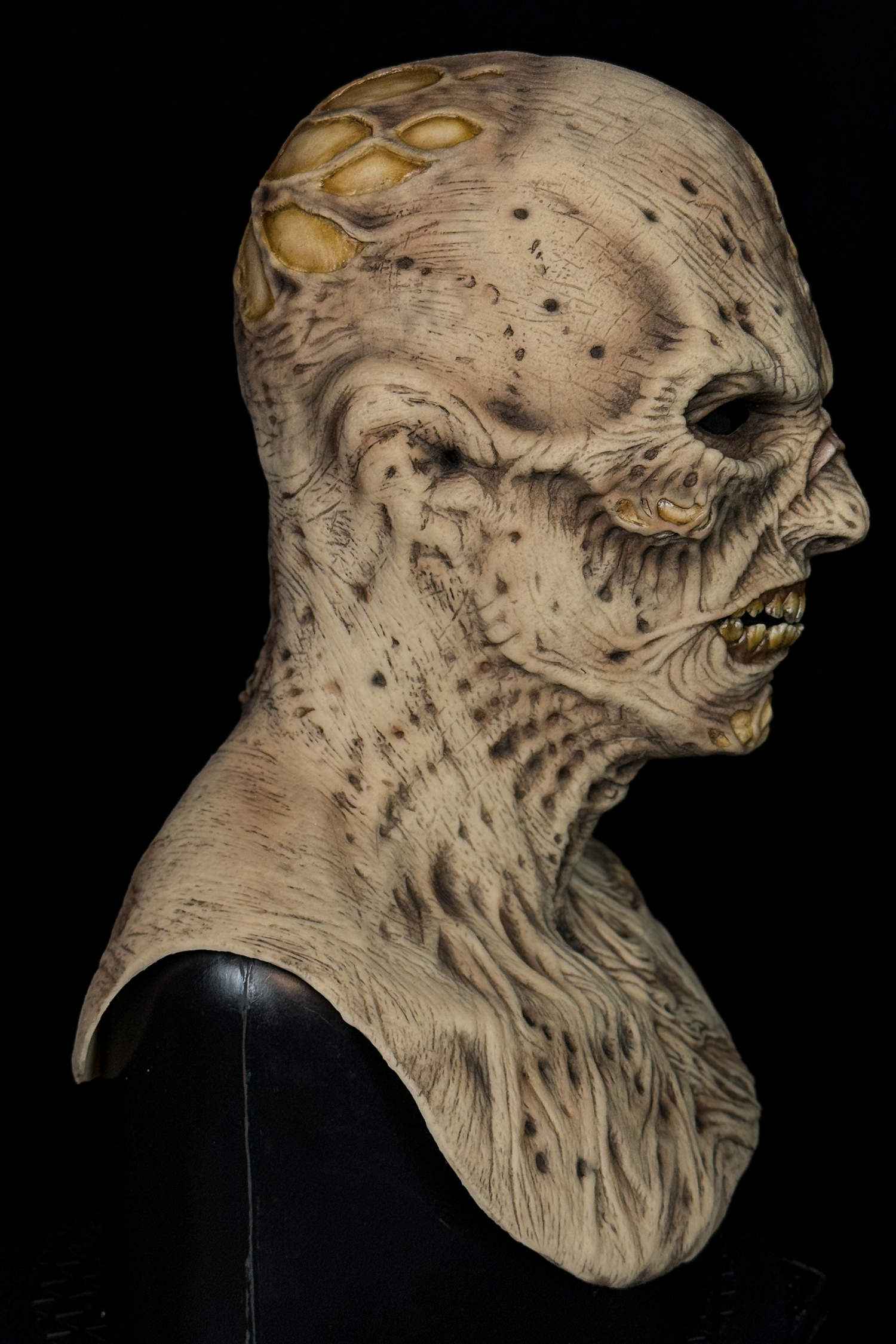 Imhotep-Mummy-3.jpg