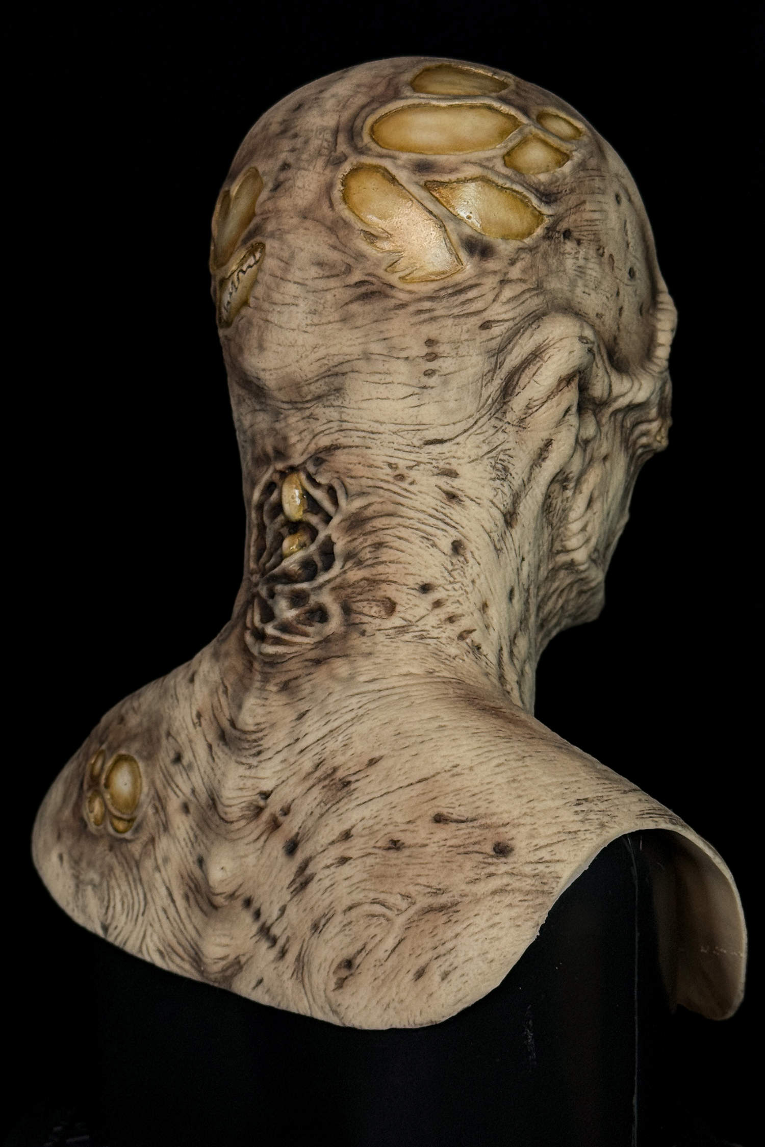 Imhotep-Mummy-4.jpg