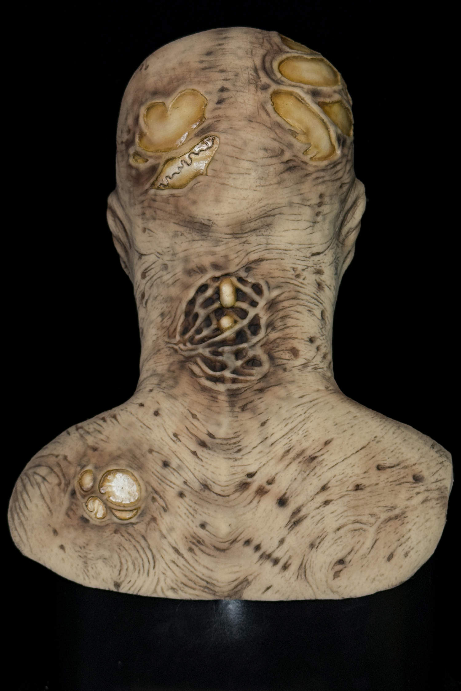 Imhotep-Mummy-5.jpg