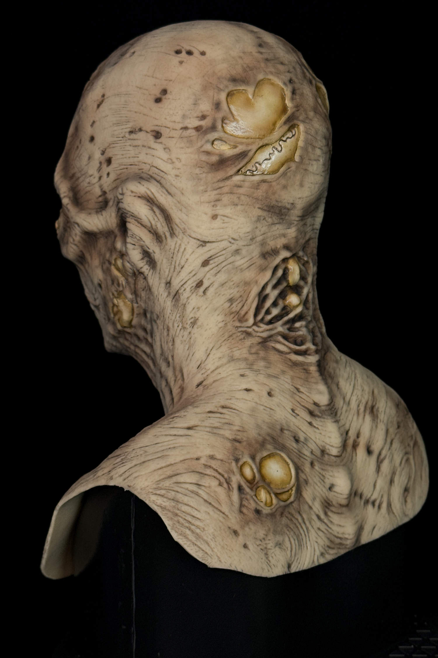 Imhotep-Mummy-6.jpg