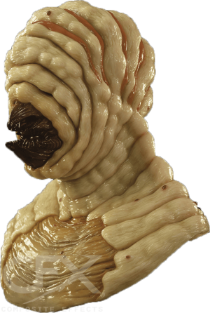 https://rhinowebllc.com/cfx-masks2/wp-content/uploads/2024/07/Larva-Pale-cover-300x446.png