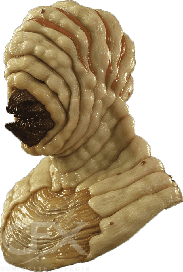 Larva-Pale-cover.png