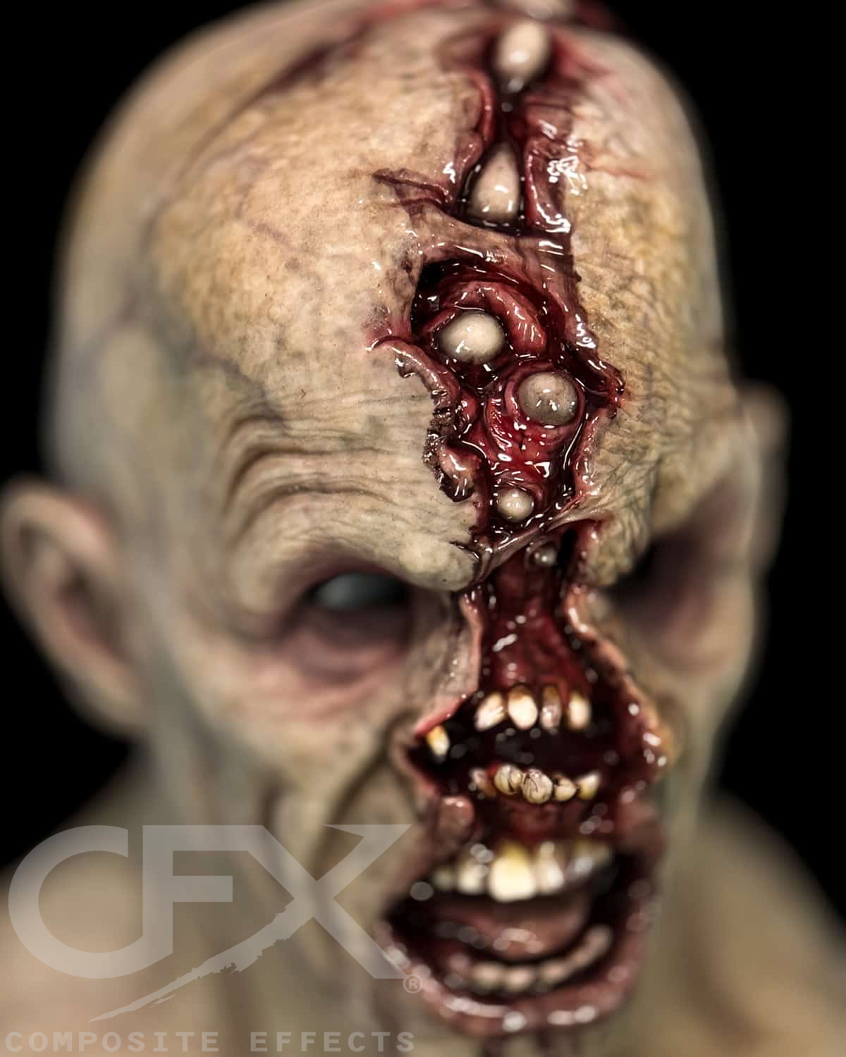 Rabid-Rotten-1.jpg