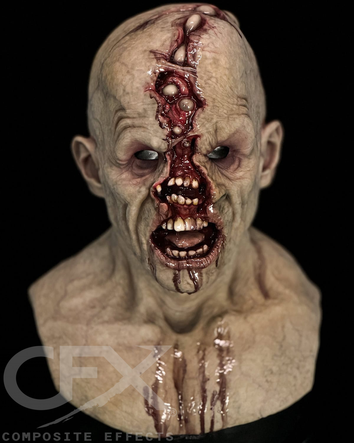Rabid-Rotten-3.jpg