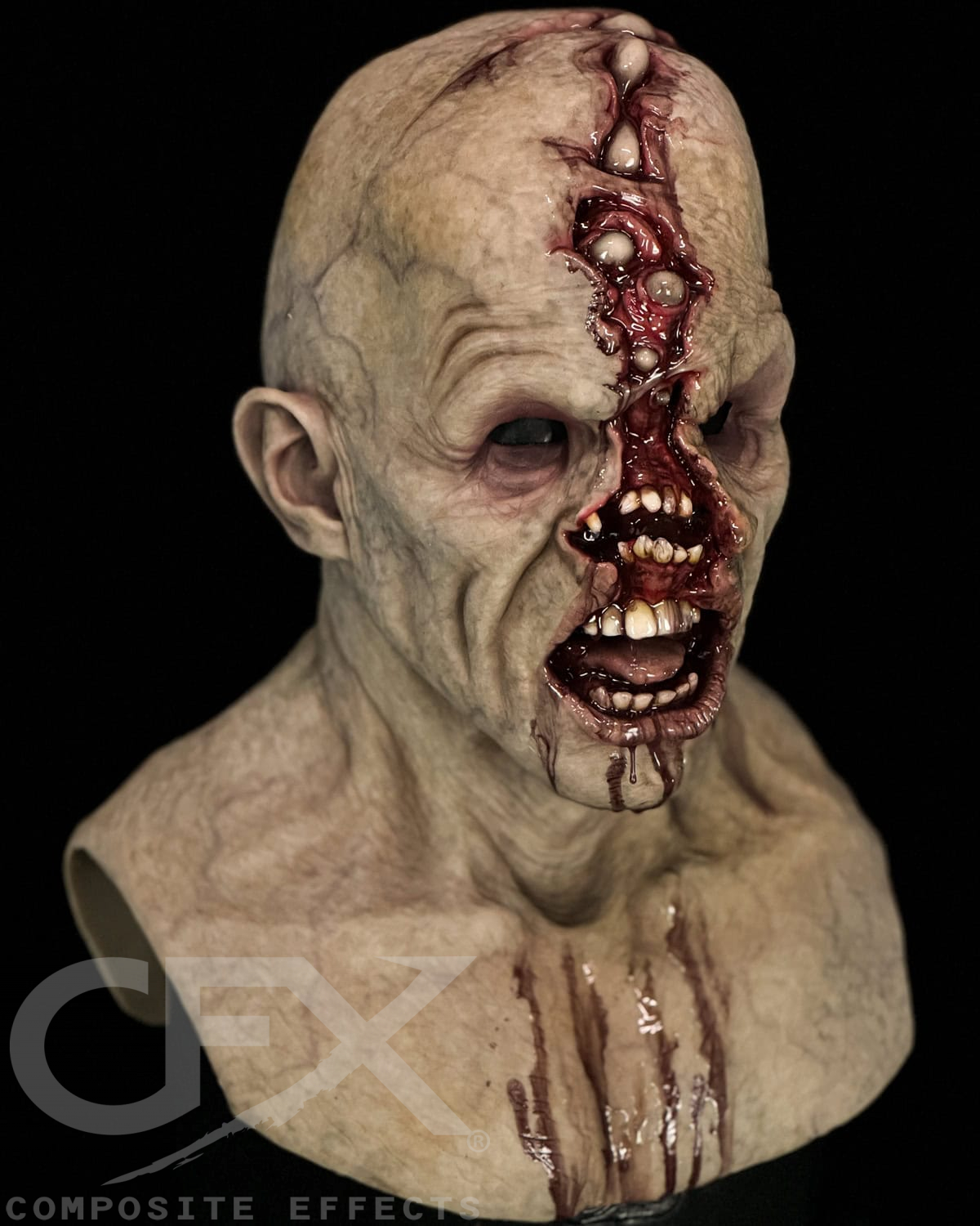 Rabid-Rotten-4.jpg