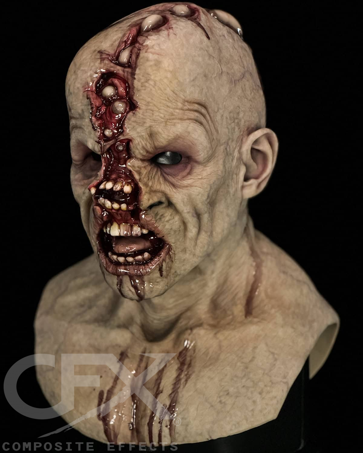 Rabid-Rotten-6.jpg