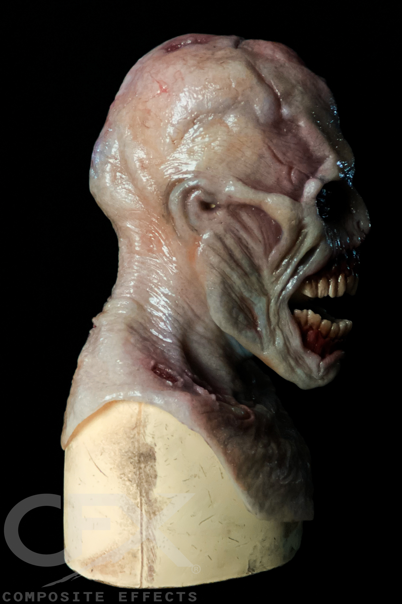 Scourge-Livor-Mortis-NO-BLOOD-RS-Cropped-3.jpg
