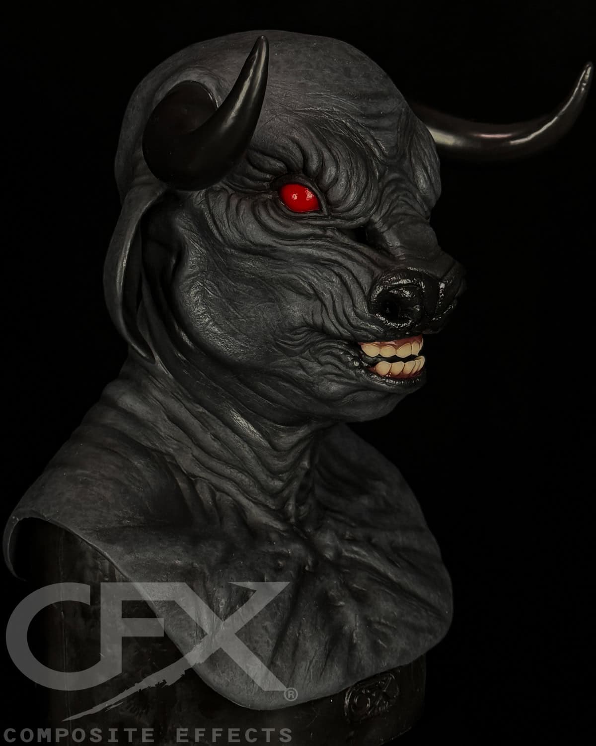 Taurus-Black-Bull-3.jpg
