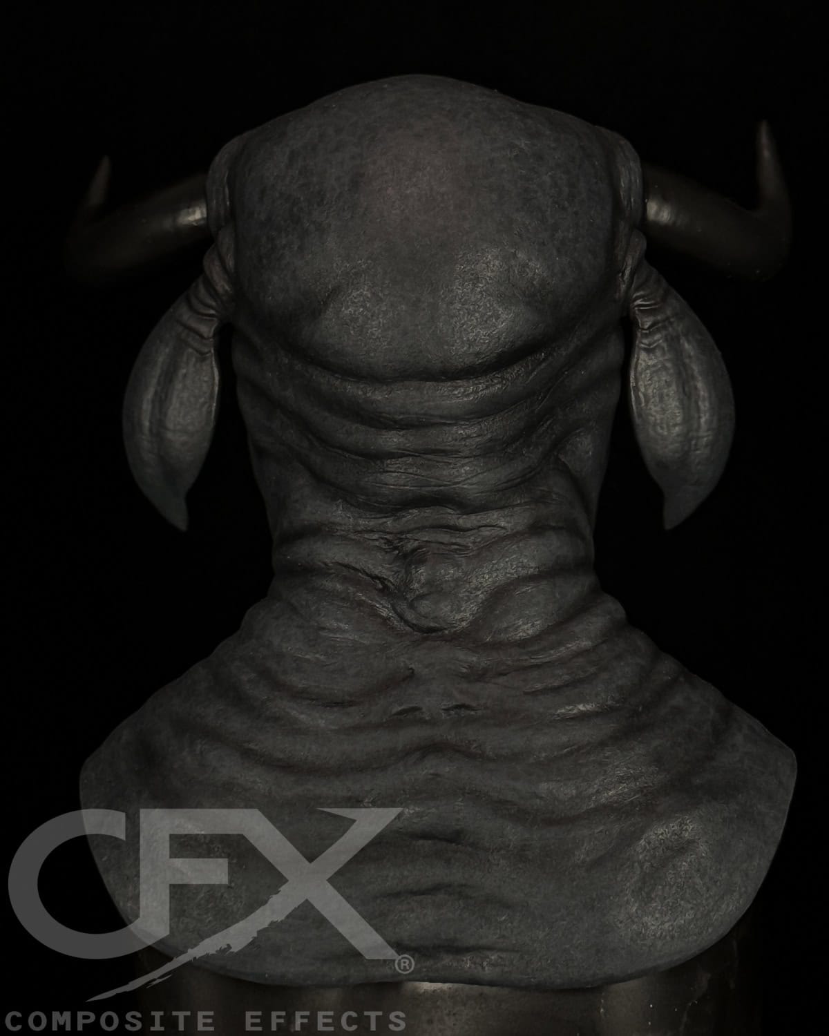 Taurus-Black-Bull-4.jpg