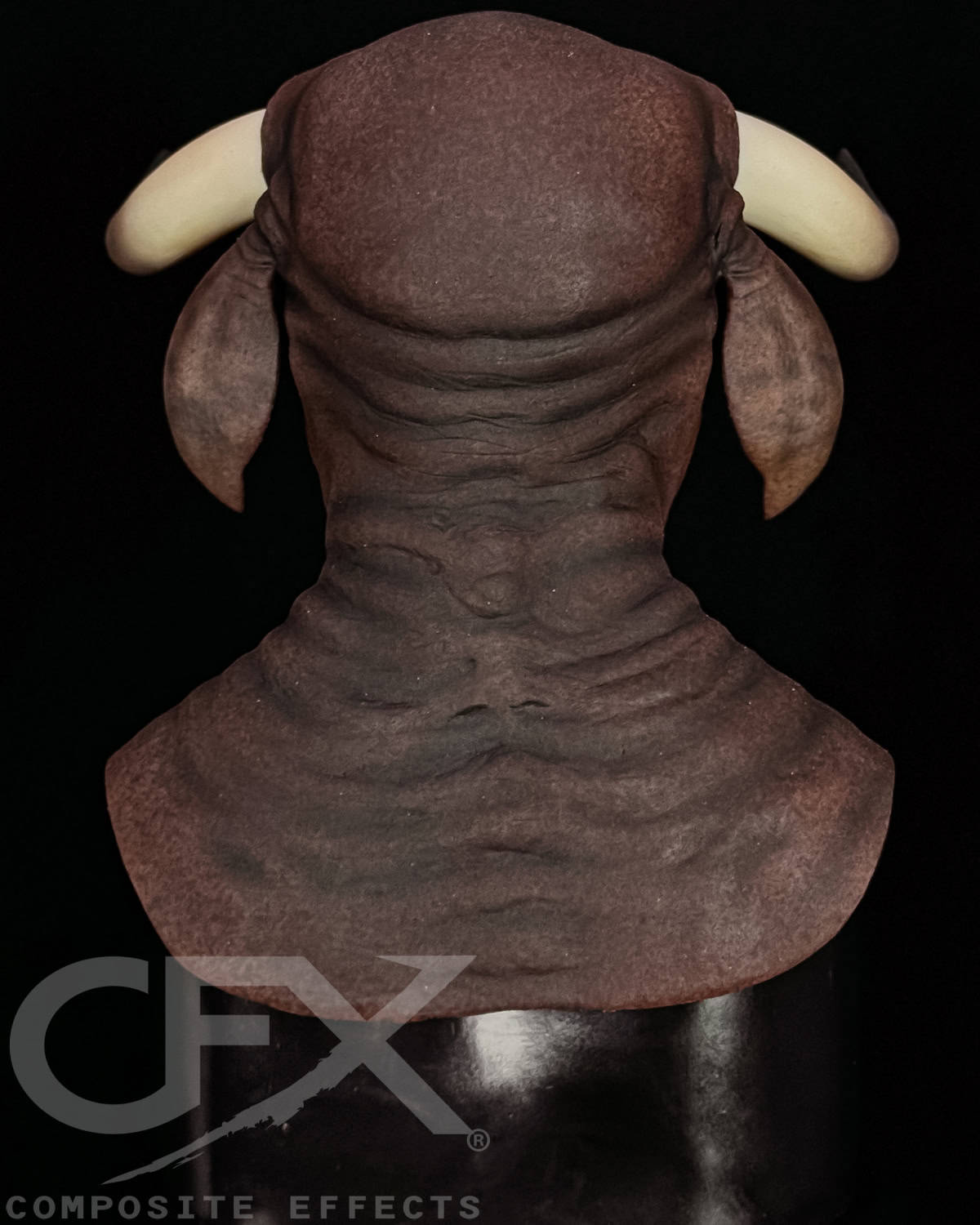Taurus-Brown-Bull-5.jpg