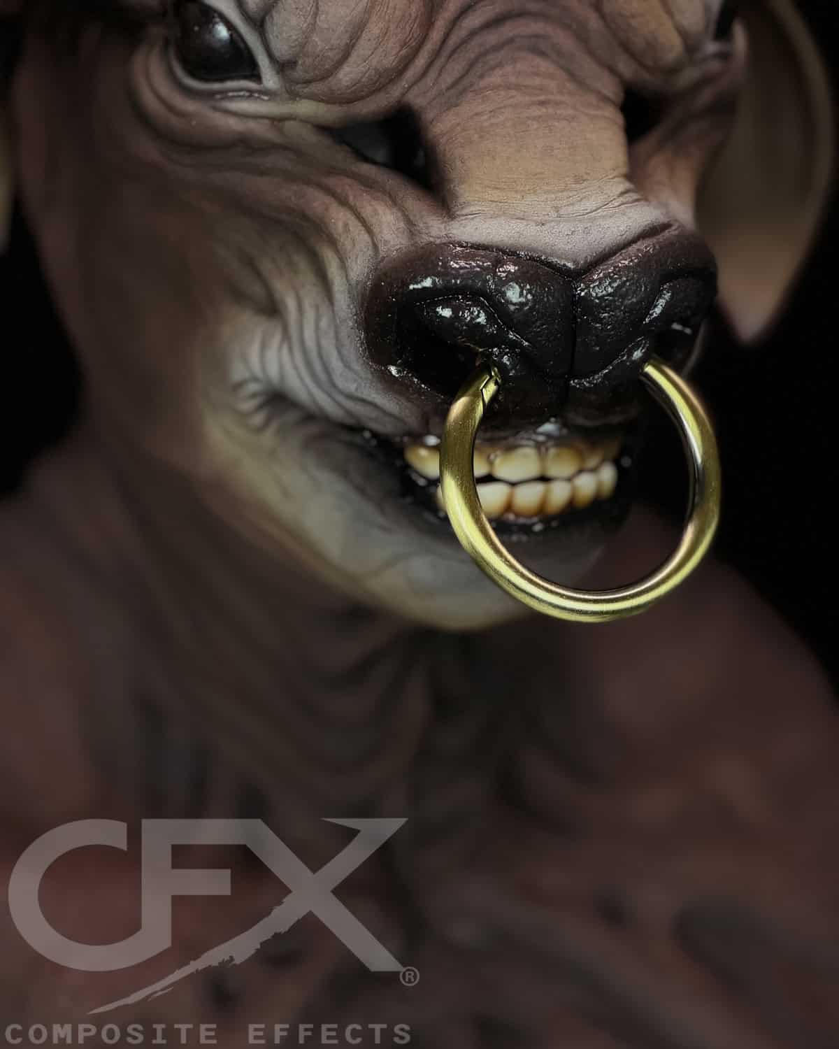 Taurus-Brown-Bull-Nose-Ring-3.jpg