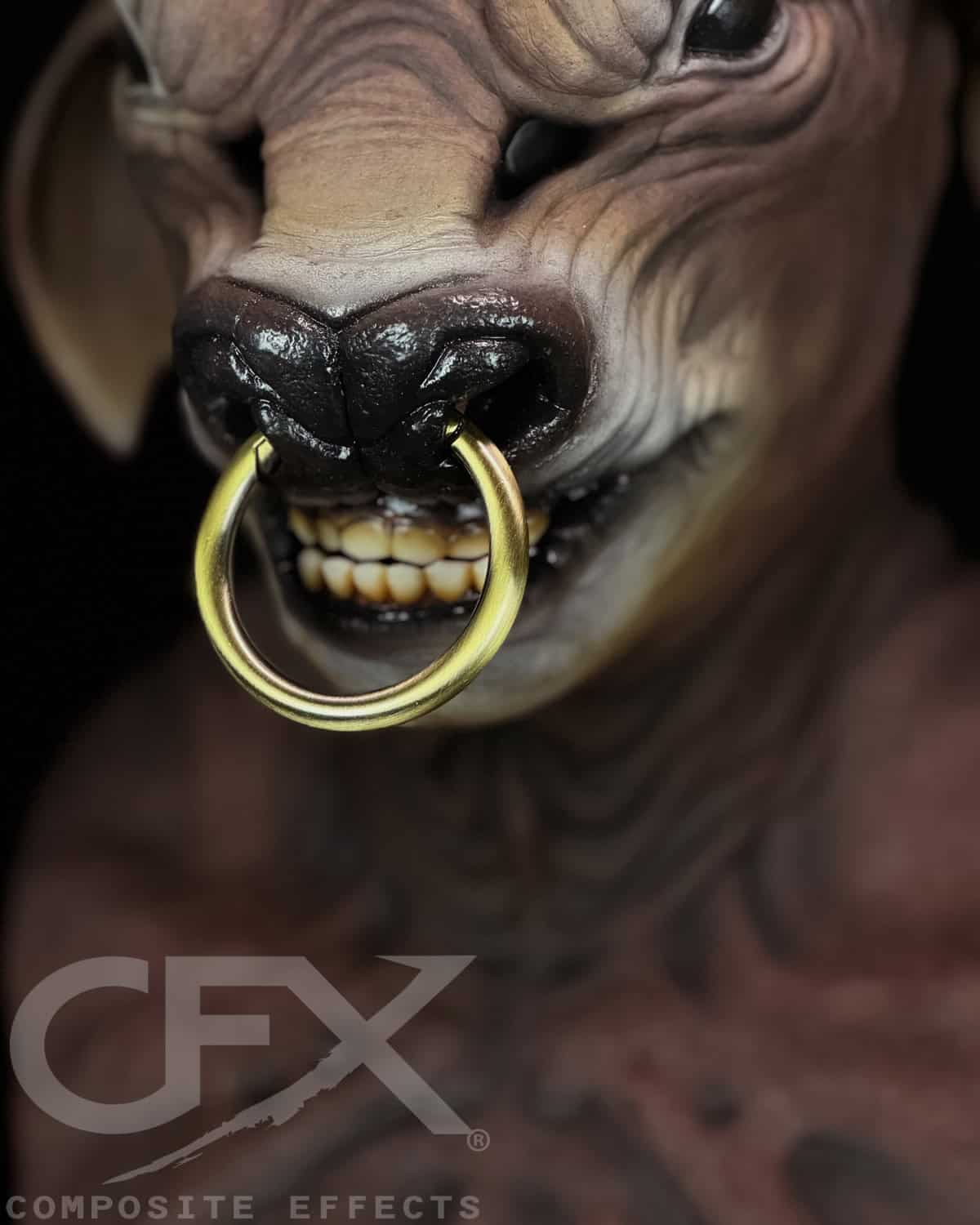 Taurus-Brown-Bull-Nose-Ring-5.jpg