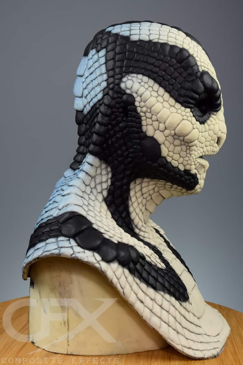 Viper-Sea-Snake-3.jpg