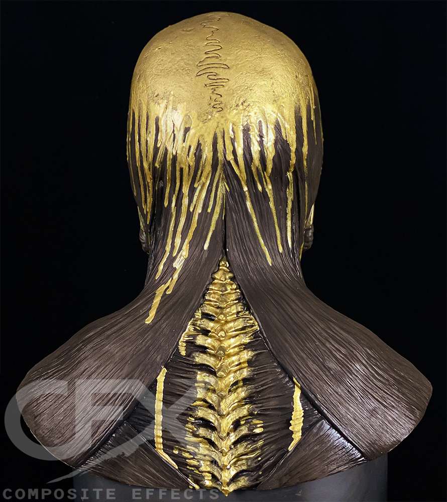 Yorick-Gold-Chocolate-03.png