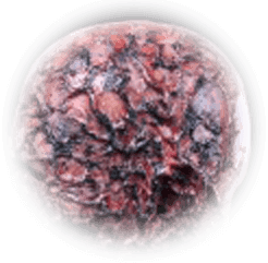 https://rhinowebllc.com/cfx-masks2/wp-content/uploads/2024/07/cover-8.png