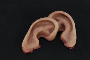 ears1.jpg https://rhinowebllc.com/cfx-masks2/wp-content/uploads/2024/07/ears1-300x200.jpg
