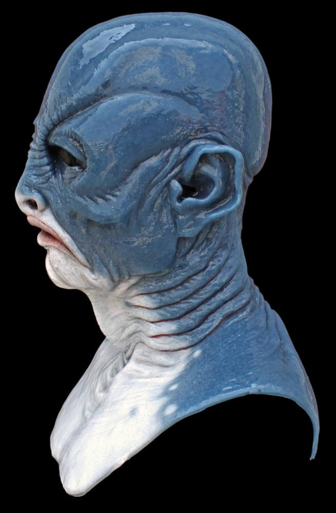 great_white_barnabas_03.jpg